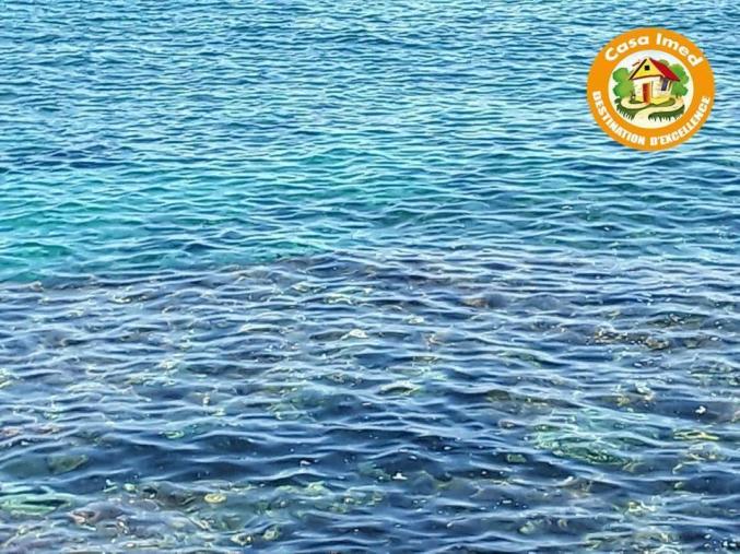 قطعة أرض مزيانة برشة في بلاصة طيارة عالبحر