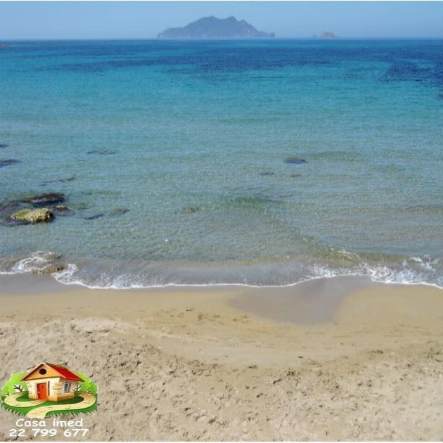 80dt pied dans l'eau hawaria