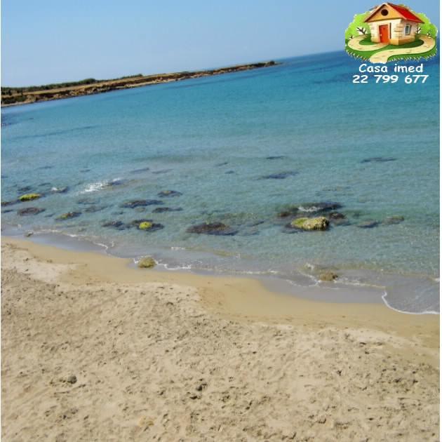 80dt pied dans l'eau hawaria