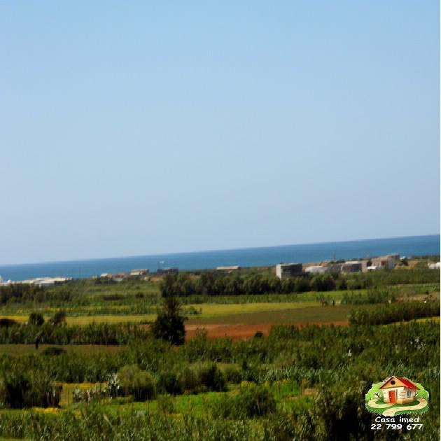 80dt pied dans l'eau hawaria