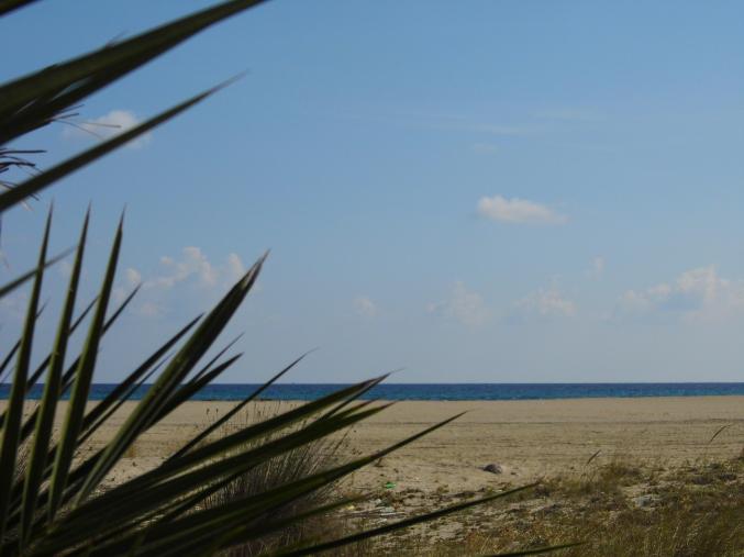 150dtعرض هام في دار علوش