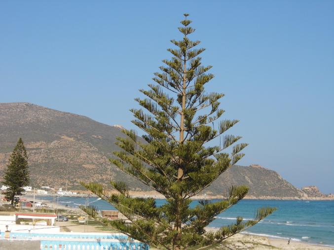 Ne perdez plus votre temps