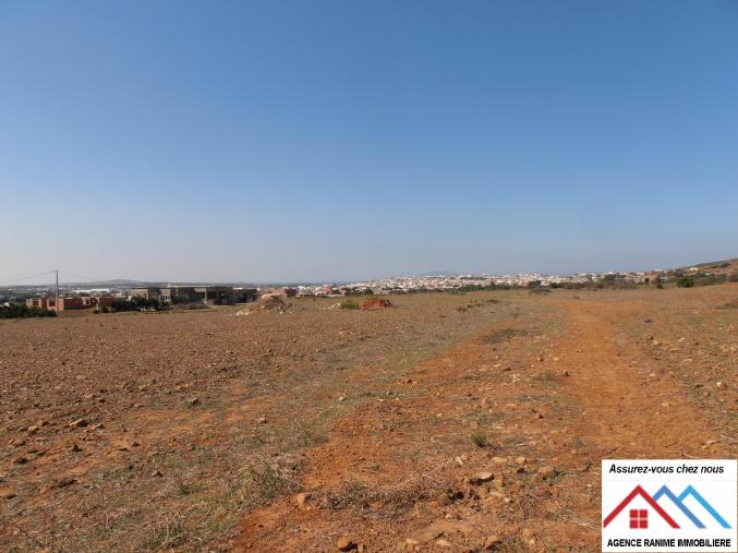 Terrain agricole de 3437m2 avec titre bleu