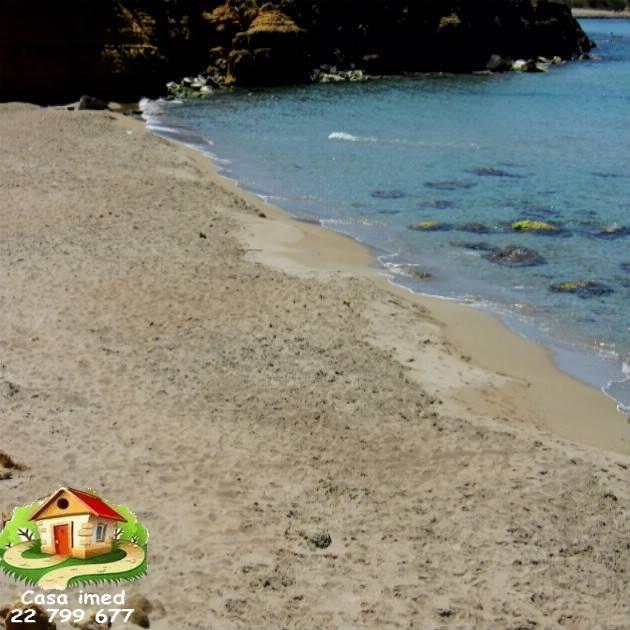 كازا عماد تودكم كان بأعز الأفاريات