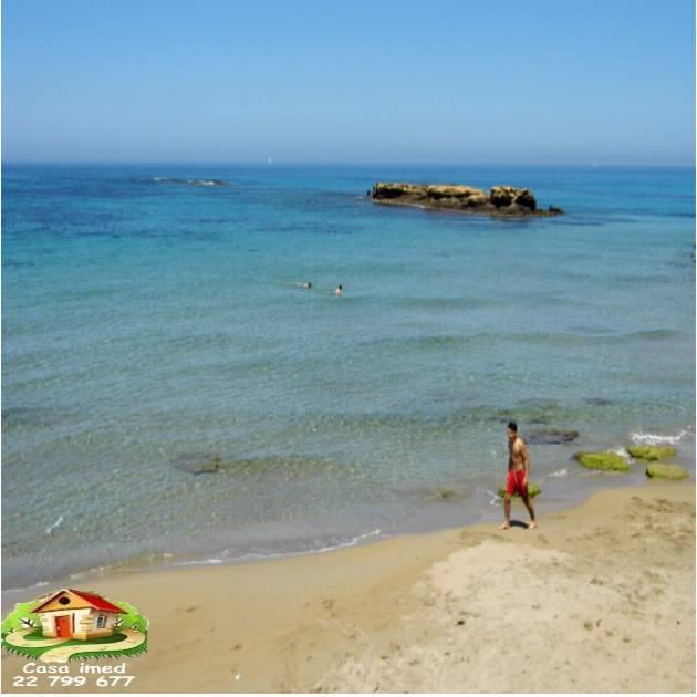 كازا عماد تودكم كان بأعز الأفاريات