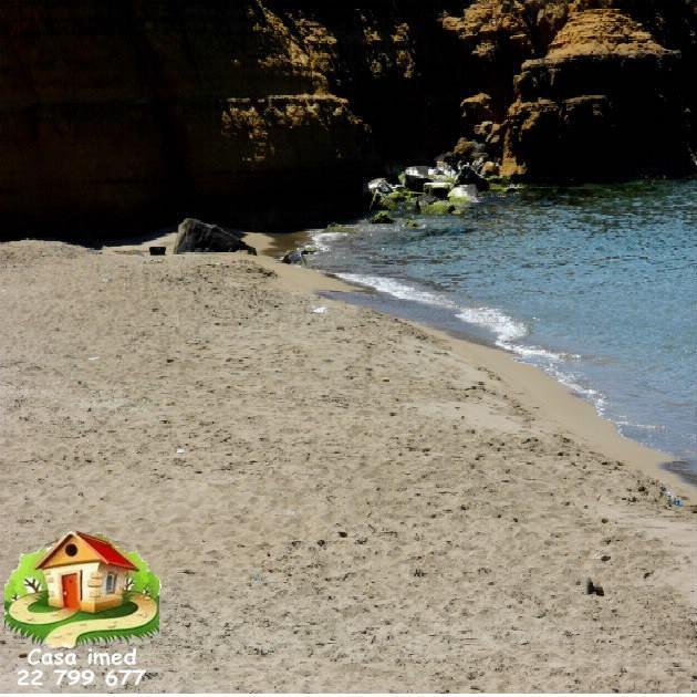 كازا عماد تودكم كان بأعز الأفاريات