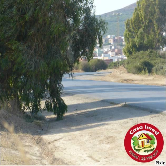 كازا عماد اليوم جابتلكم حاجة جديدة ومزيانة برشا