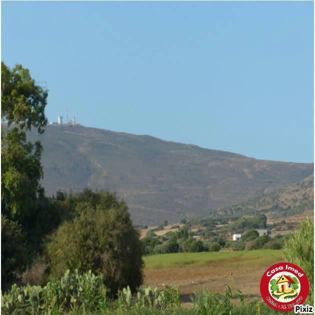 كازا عماد اليوم جابتلكم حاجة جديدة ومزيانة برشا