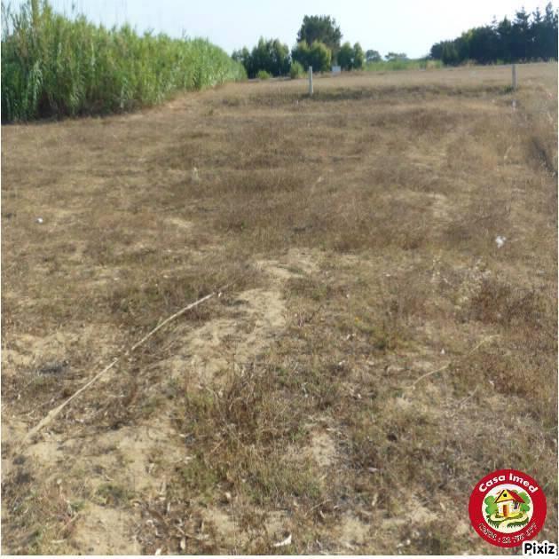 كازا عماد اليوم جابتلكم حاجة جديدة ومزيانة برشا