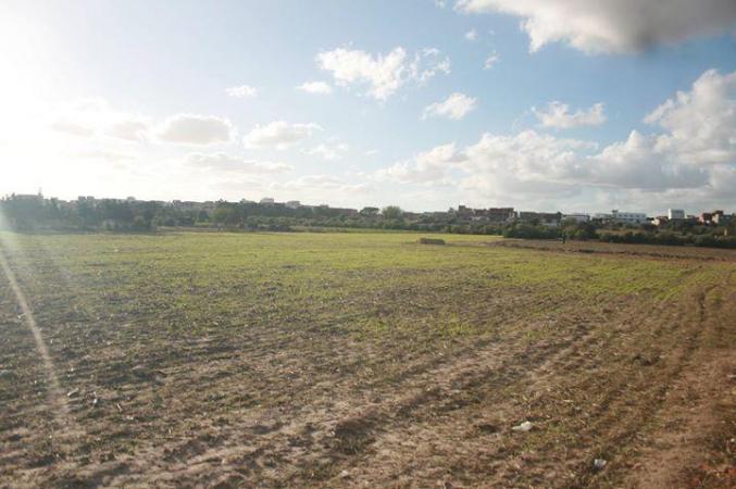 ارض للبيع 7503 متر مربع تقع في سيدي جمال الدين -- منزل تميم