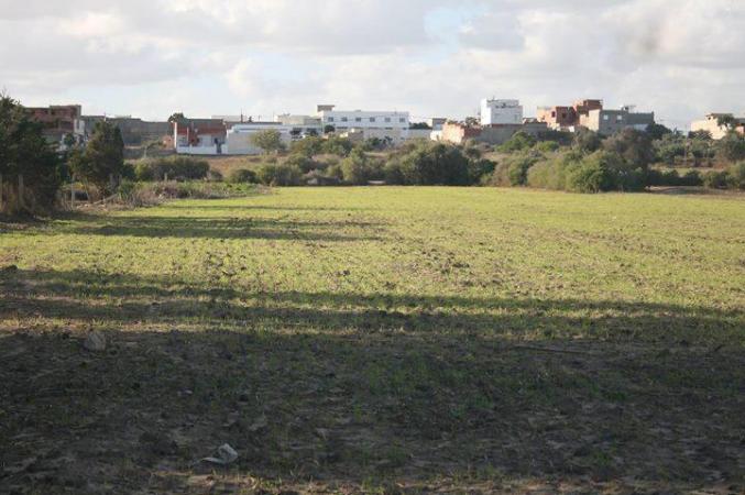 ارض للبيع 7503 متر مربع تقع في سيدي جمال الدين -- منزل تميم