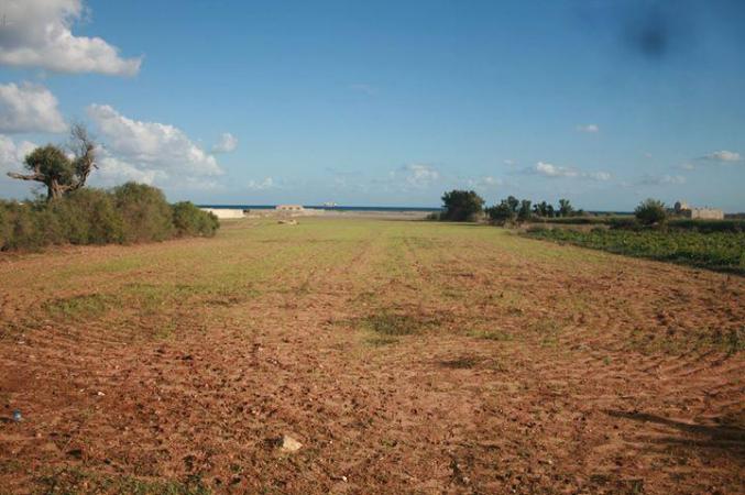 ارض للبيع 7503 متر مربع تقع في سيدي جمال الدين -- منزل تميم