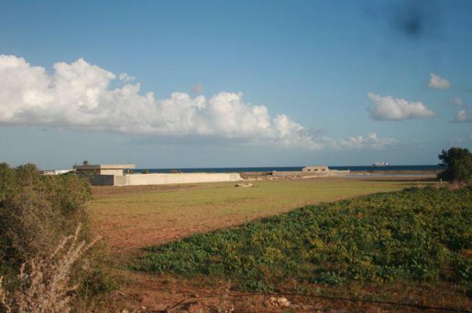 ارض للبيع 7503 متر مربع تقع في سيدي جمال الدين -- منزل تميم