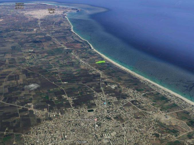 ارض للبيع 7503 متر مربع تقع في سيدي جمال الدين -- منزل تميم