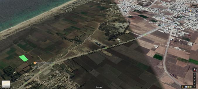 ارض للبيع 3164 متر مربع تقع في سيدي جمال الدين -- منزل تميم