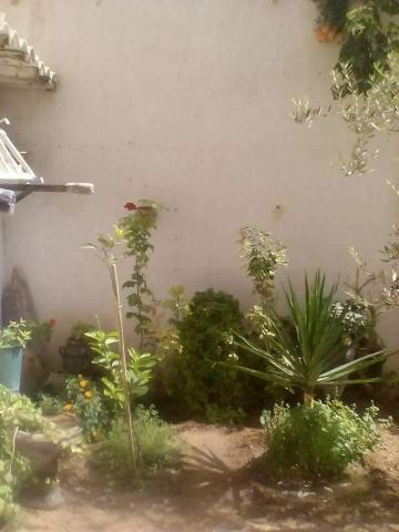 Villa et deux appartements et un studio