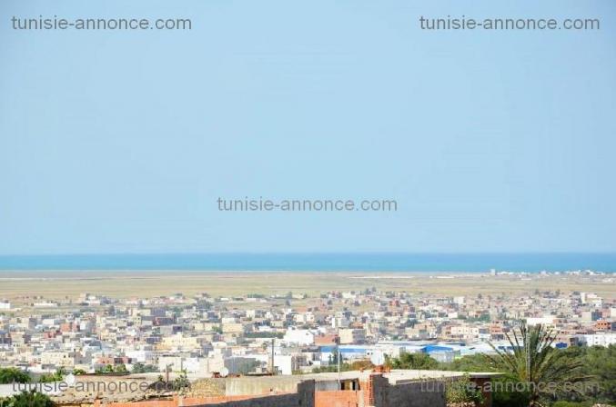 Terrain prés de Géant et GDA sidi amor