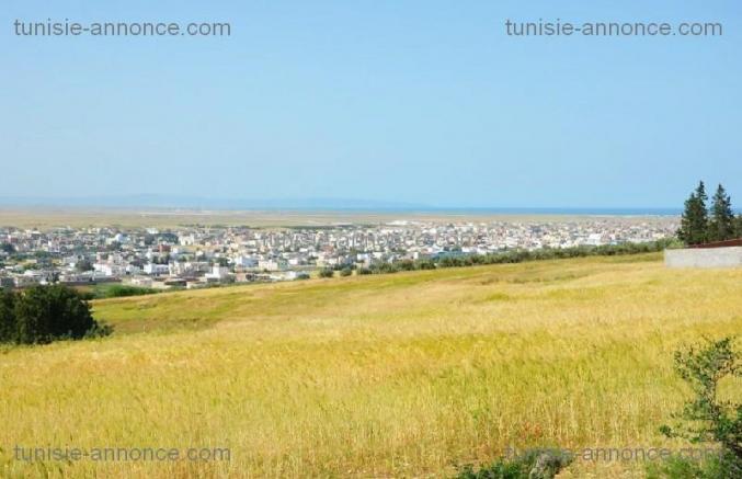 Terrain prés de Géant et GDA sidi amor