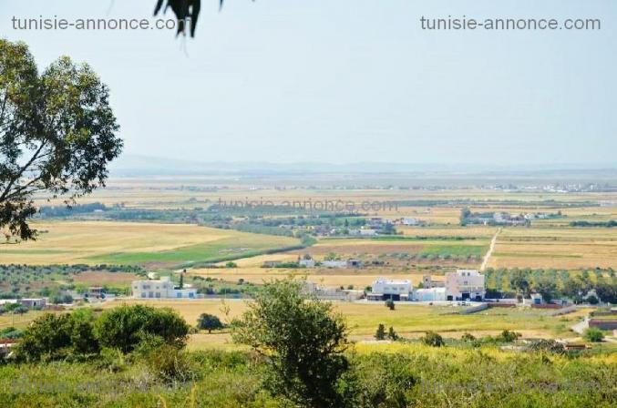 Terrain prés de Géant et GDA sidi amor
