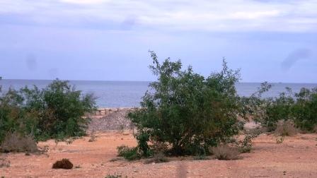 RDC très lumineux grande terrasse superbe vue mer