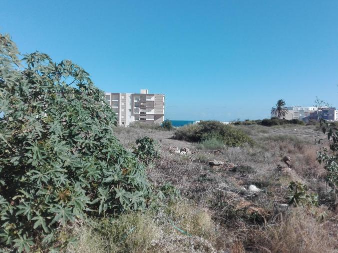 Terrain à shot mariem akouda-sousse