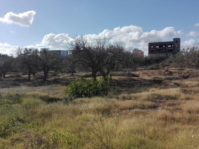 Terrain à shot mariem akouda-sousse