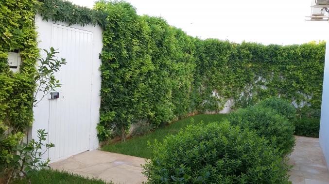 Un Duplex au coin (achevé en 2016)