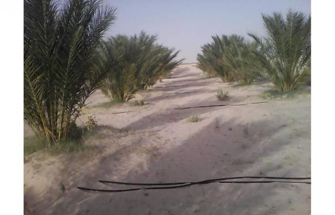 إعلان بيع أرض فلاحية غيدمة