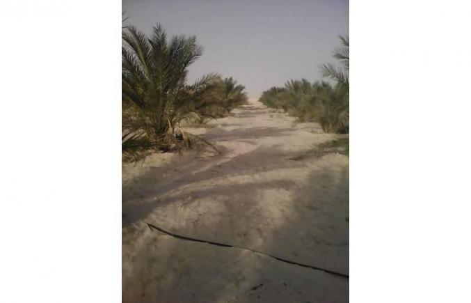 إعلان بيع أرض فلاحية غيدمة