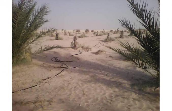 إعلان بيع أرض فلاحية غيدمة