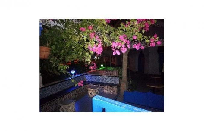 SALON DE THÉ A TABARKA(FOND ET MURS)