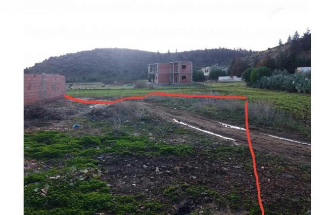 ارض بالصوالة