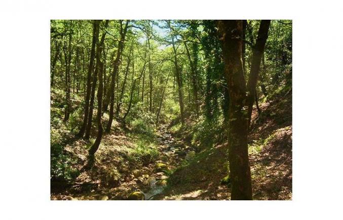 Appartement 64 m2 à Ain Draham * Babouch -Tunisie