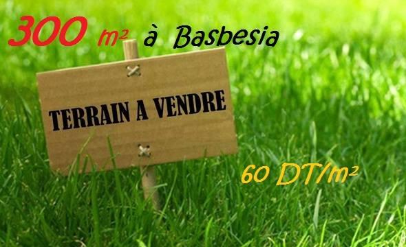 terrain à vendre besbassia-hammamet