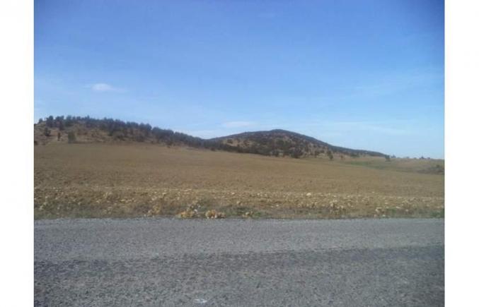 jradou zaghouan 32 hectares