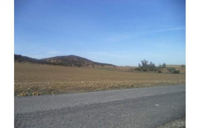 32 hectares à 15MD à jradou