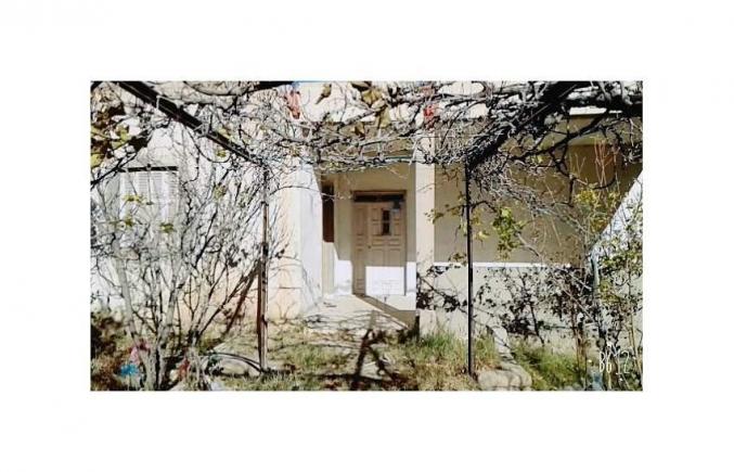 Terrain et Villas et 7 Garages