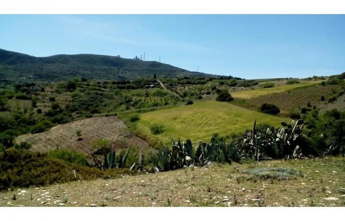 Terrains 8900m2 rafraf