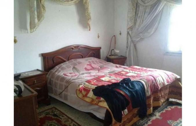 Maison avec large jardin