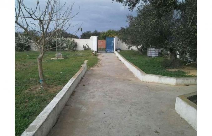 Maison avec large jardin