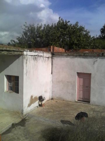 maison tarchoun