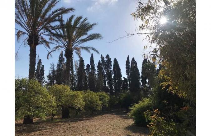 Villa Green 4 3522m2