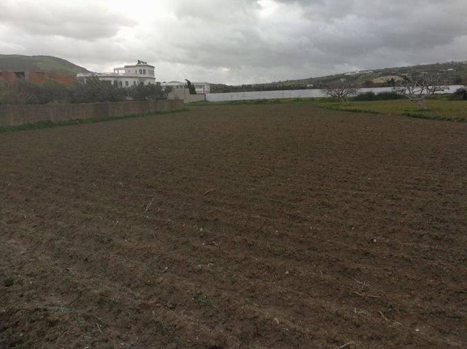 Un terrain de 2875 m² à Chatt Mami Bizerte
