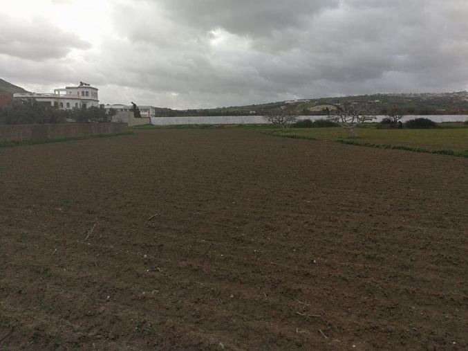 Un terrain de 2875 m² à Chatt Mami Bizerte