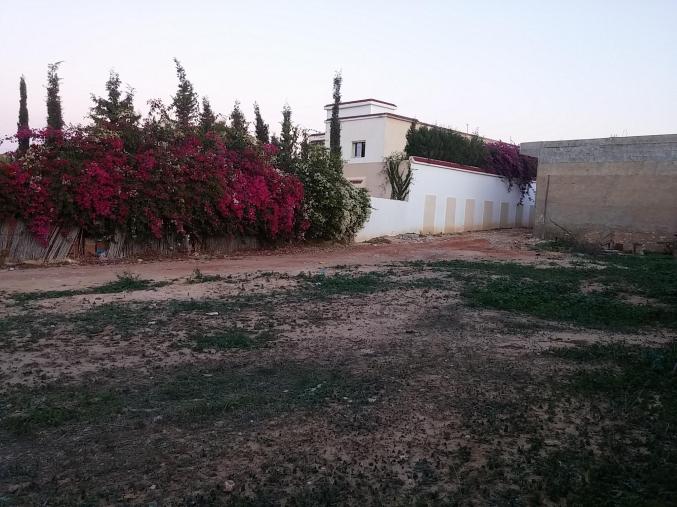 terrain de 261 m2 titre bleu