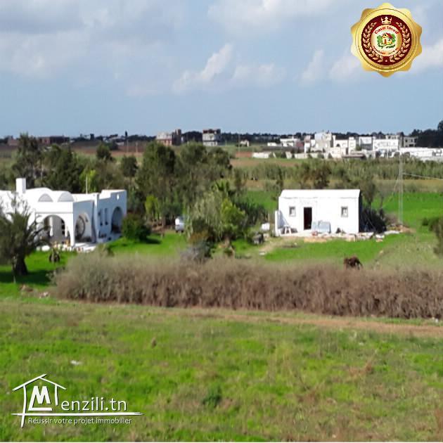 a vendre a dar allouche terrain