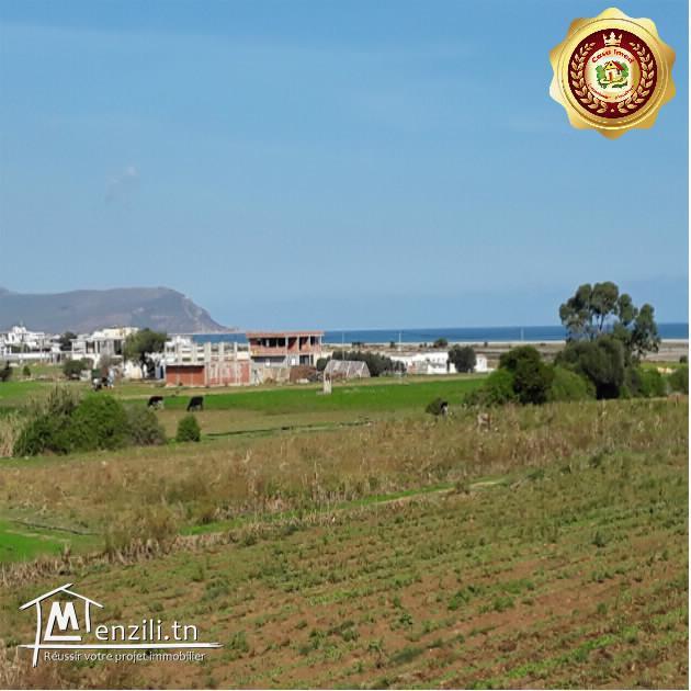 a vendre a dar allouche terrain