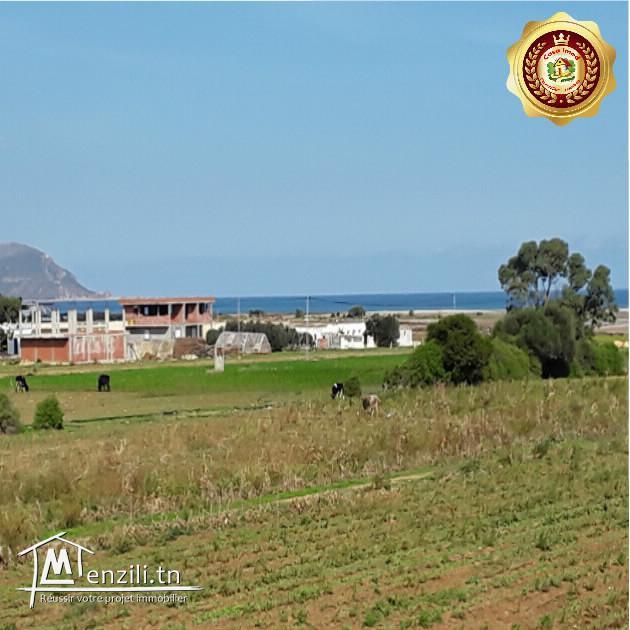 a vendre a dar allouche terrain