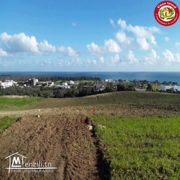 Lots Terrains avec une vue Panoramique à ezzahra