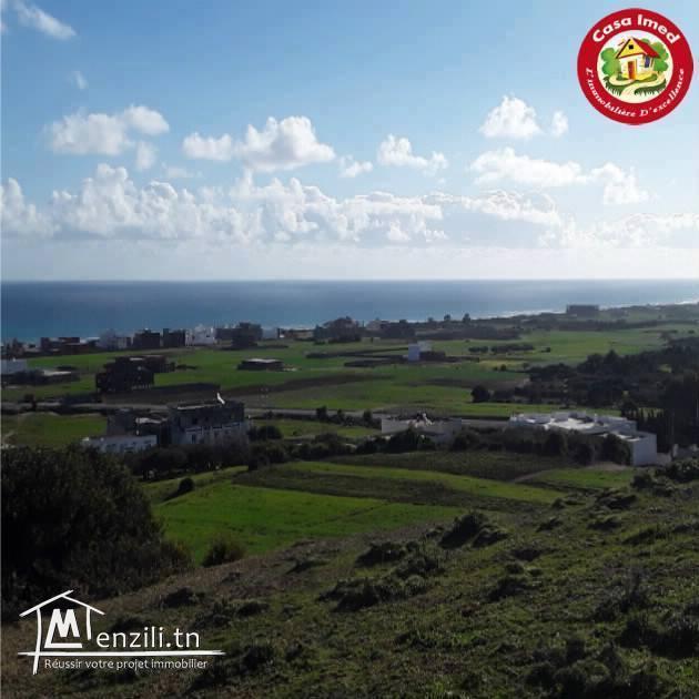 Lots Terrains avec une vue Panoramique à ezzahra